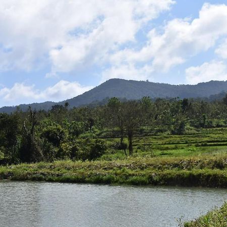 Apartament Camp Coorg Madikeri Zewnętrze zdjęcie